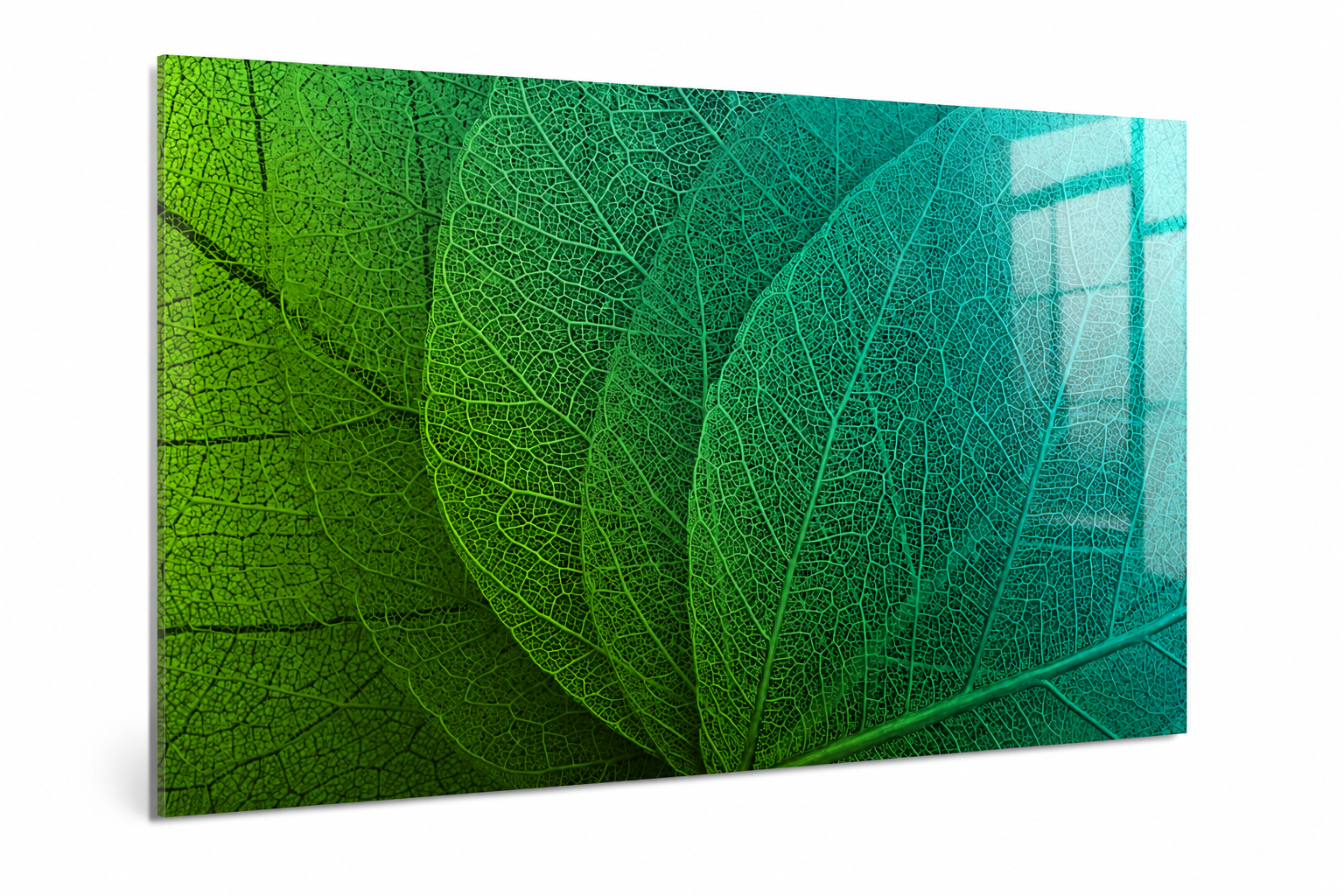 Mydesignglas Magnetisch Glazen Whiteboard - Magneetbord - Natuurlijke Bladeren in Groentinten