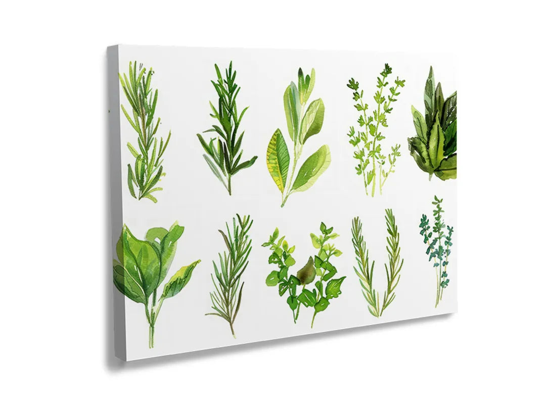Kurkborden op canvas met botanische kruidenillustraties – formaat 120 × 80 cm
