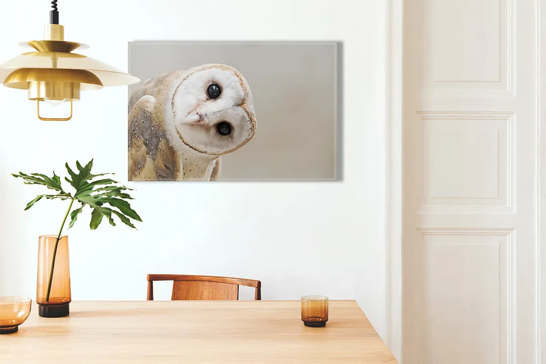 Kurkborden op canvas met portret van een kerkuil – formaat 100 × 70 cm