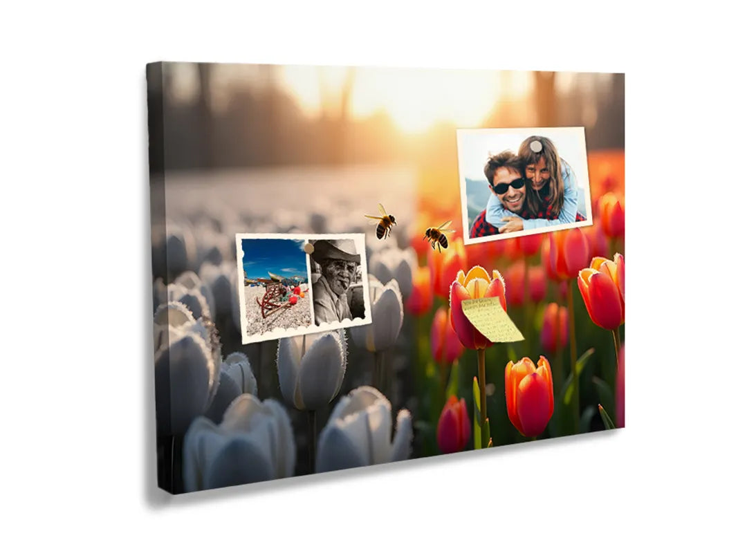 Kurkborden op canvas met tulpenveld in zacht zonlicht – formaat 60 × 40 cm