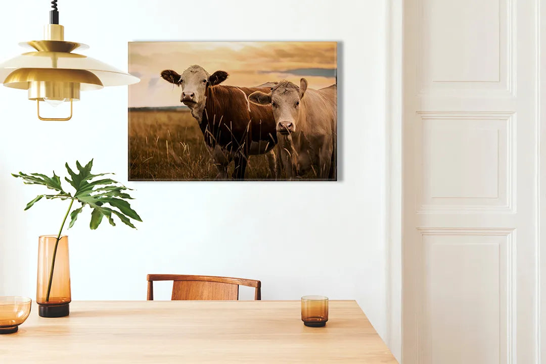 Kurkborden op canvas met koeien in een weiland bij zonsondergang – formaat 100 × 70 cm