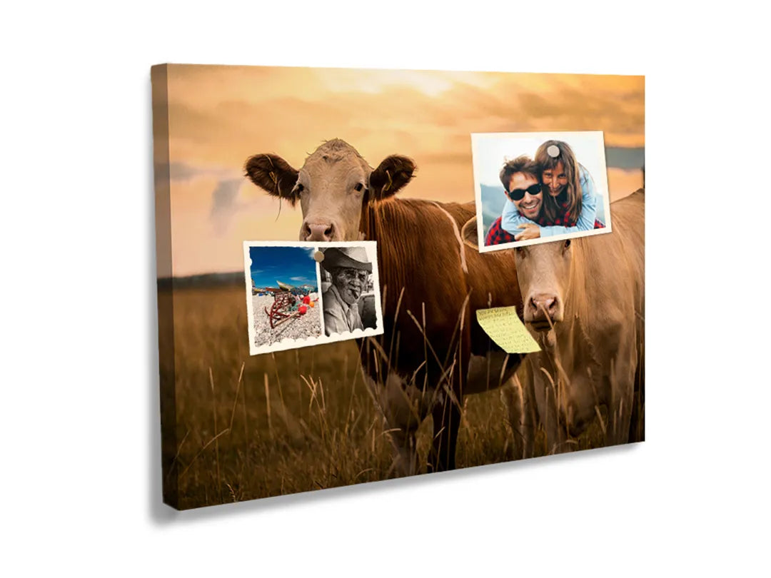 Kurkborden op canvas met koeien in een weiland bij zonsondergang – formaat 60 × 40 cm