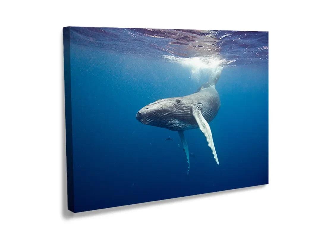 Kurkborden op canvas met walvis onder helder oceaanwater – formaat 120 × 80 cm