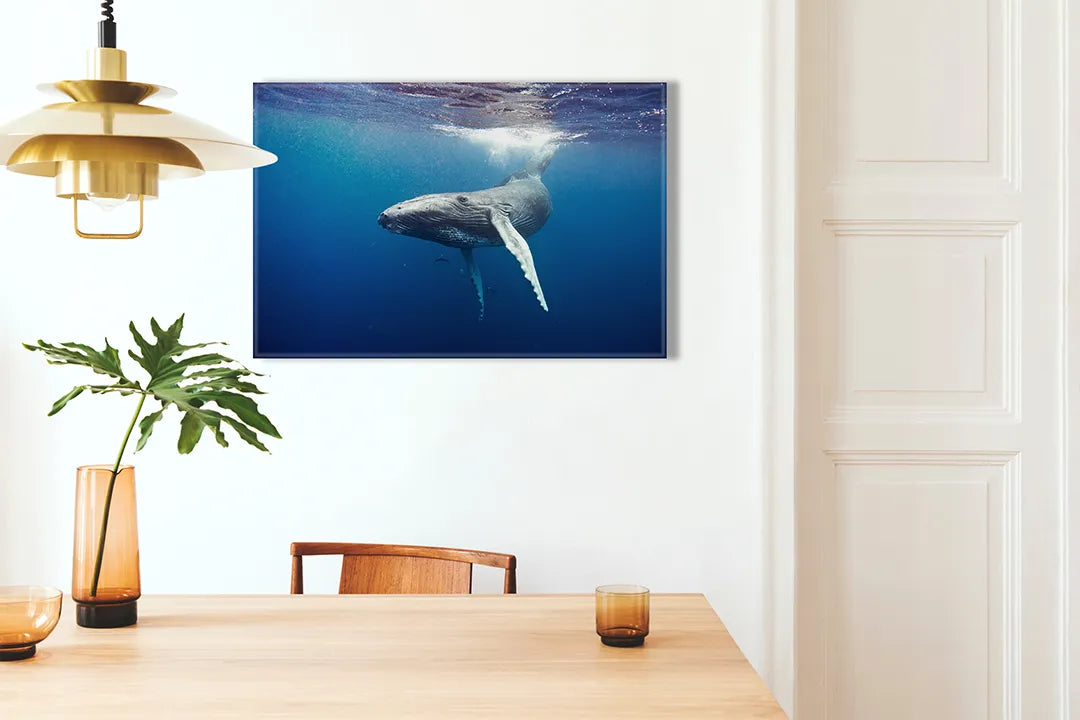 Kurkborden op canvas met walvis onder helder oceaanwater – formaat 100 × 70 cm