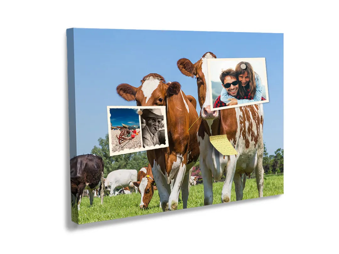 Kurkborden op canvas met koeien in een groene weide – formaat 60 × 40 cm