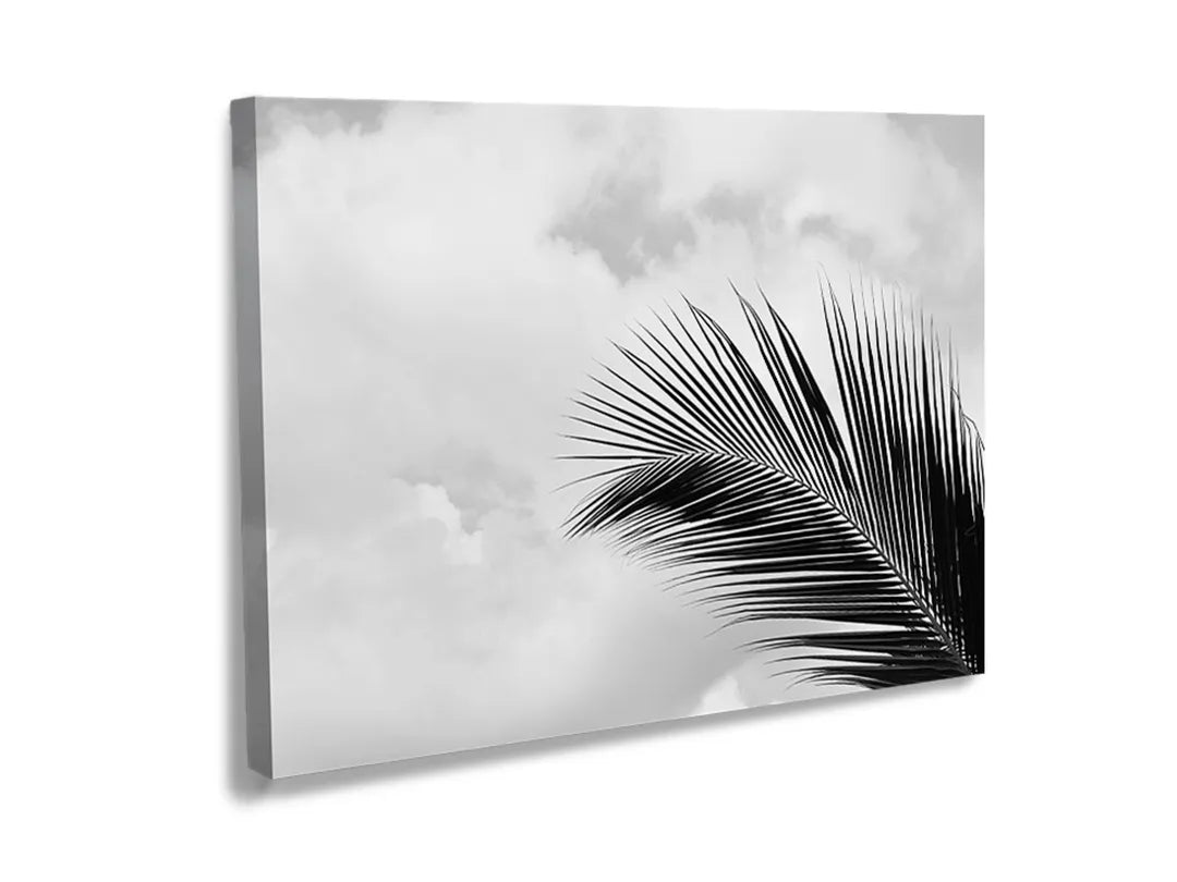 Kurkborden op canvas met zwart-wit palmblad – formaat 120 × 80 cm