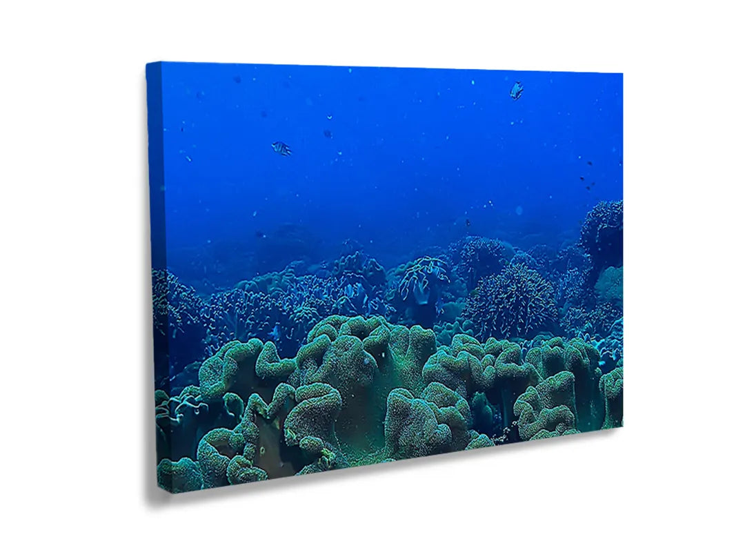 Kurkborden op canvas met blauw koraalrif panorama – formaat 120 × 80 cm