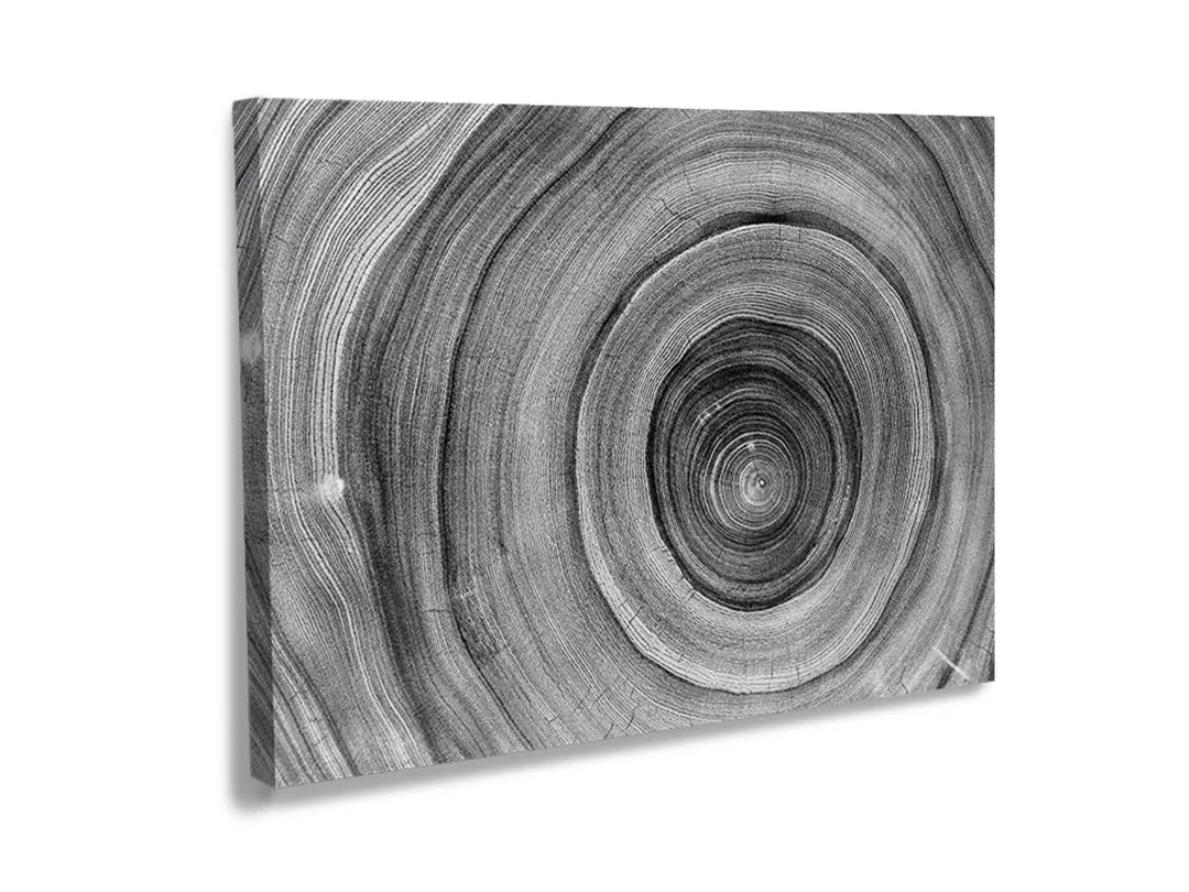 Kurkborden op canvas met zwart-witte boomringen – formaat 120 × 80 cm