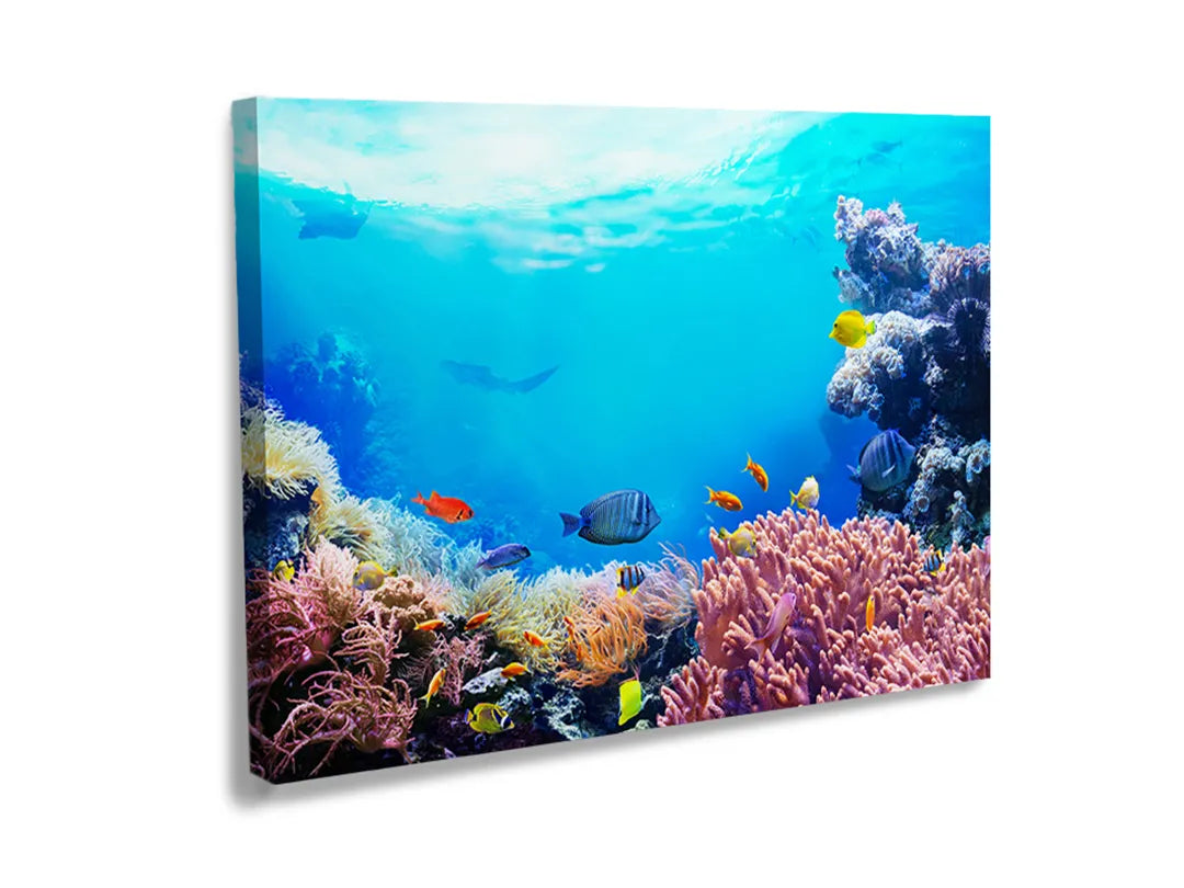 Kurkborden op canvas met kleurrijk koraalrif onder water – formaat 120 × 80 cm