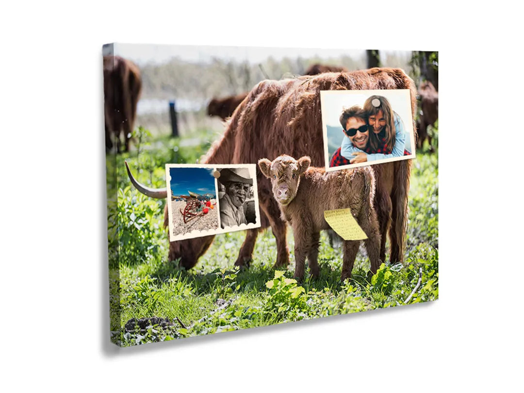 Kurkborden op canvas met schotse hooglander met kalf – formaat 60 × 40 cm
