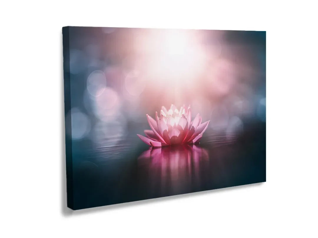 Kurkborden op canvas met roze lotusbloem op donker water – formaat 120 × 80 cm