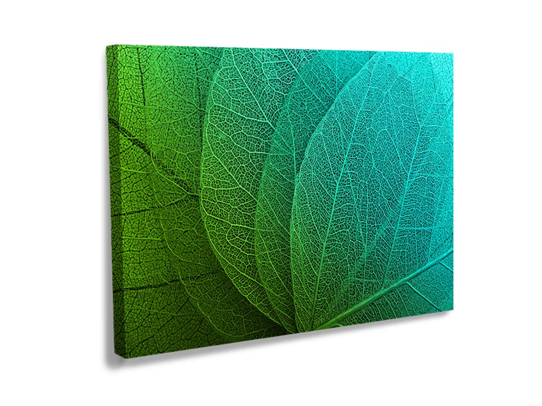 Kurkborden op canvas met groene bladeren in close-up – formaat 120 × 80 cm