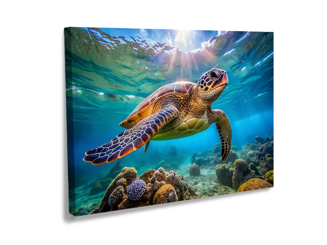 Kurkborden op canvas met zeeschildpad bij koraalrif – formaat 120 × 80 cm